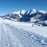 Toboggan run Triel - Morissen