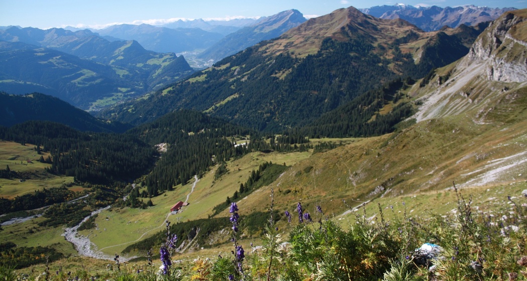 Schesaplana Rundtour (oua_54671630_image)