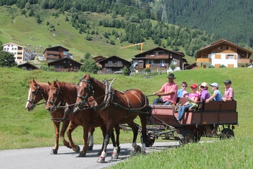 Kutschenfahrt im Sommer
