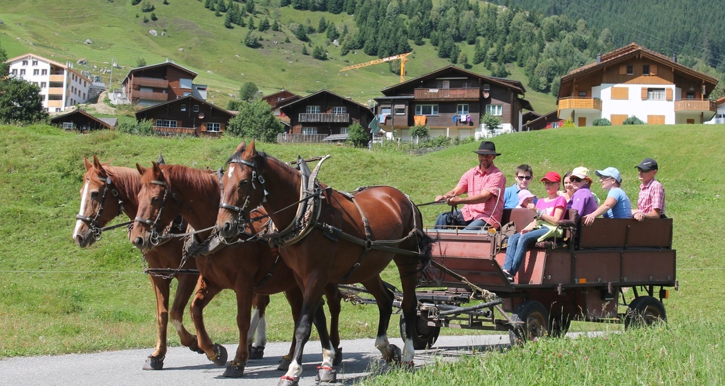 Kutschenfahrt im Sommer
