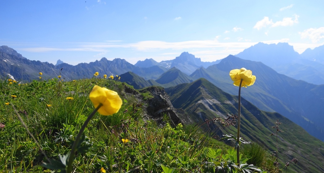 Siebengipfeltour Sassauna-Girenspitz (oua_54686154_image)