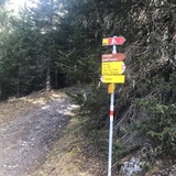 Réserve naturelle forestière La Niva parcours circulaire (oua_54757415_image)