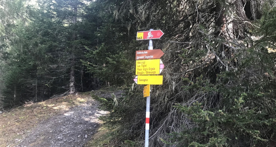 Naturwaldreservat La Niva Rundtour (oua_54757415_image)