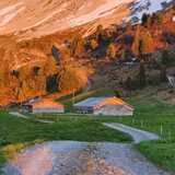 Frühlingserwachen auf der Alp Casanna