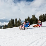 Madrisa-Schlittelbahn (oua_54940684_image)