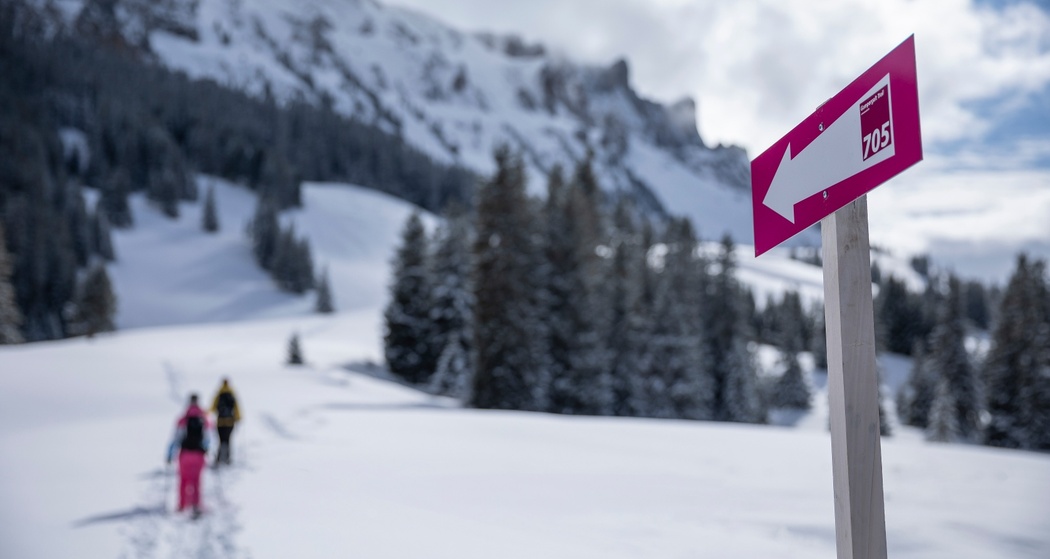 Der signalisierte Schneeschuh-Trail Gampergalt