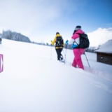 Signalisierter Schneeschuh-Trail Mädems bei Schönhalden