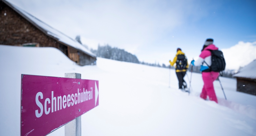 Signalisierter Schneeschuh-Trail Mädems bei Schönhalden