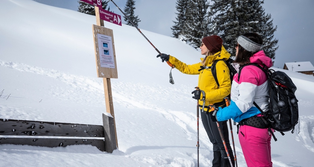 Auf dem Flumser Kleinberg gibt es zwei signalisierte Schneeschuhtouren