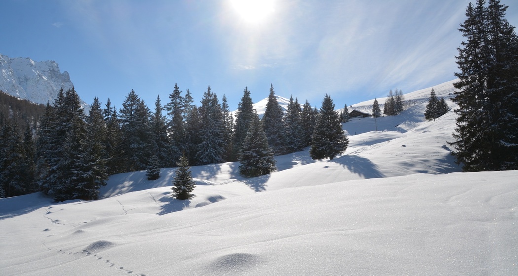 Tigignas - Parnoz - Savognin (oua_55198628_image)