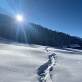 Landwasser-Trail (oua_55299623_image)