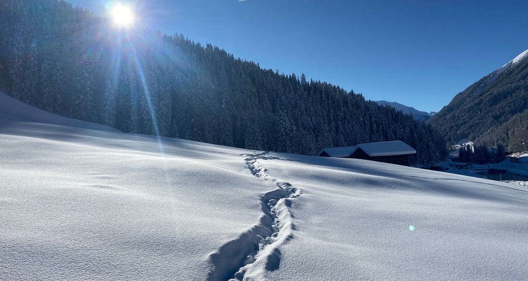 Landwasser-Trail (oua_55299623_image)