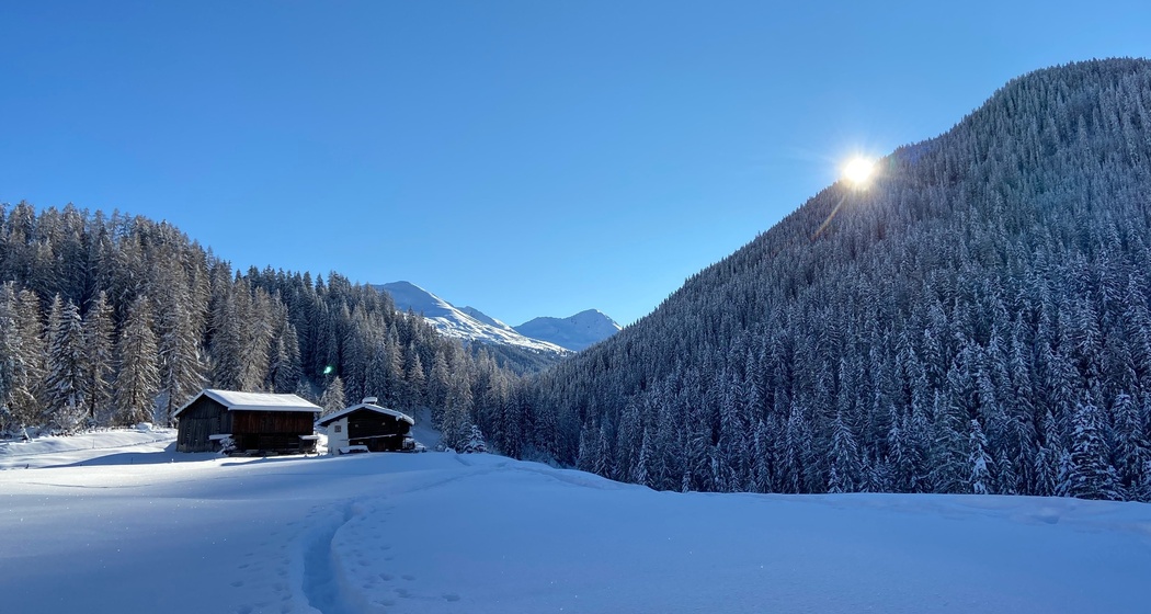 Wildboden-Trail (oua_55299624_image)