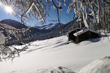 618 Wolfgang-Trail (oua_55299667_image)