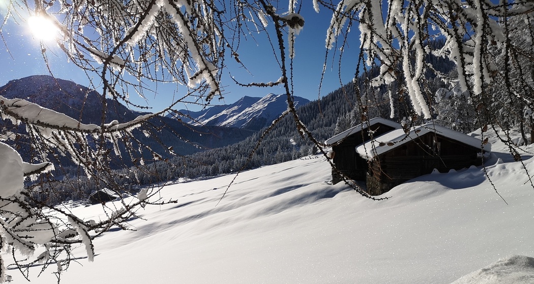 618 Wolfgang-Trail (oua_55299667_image)