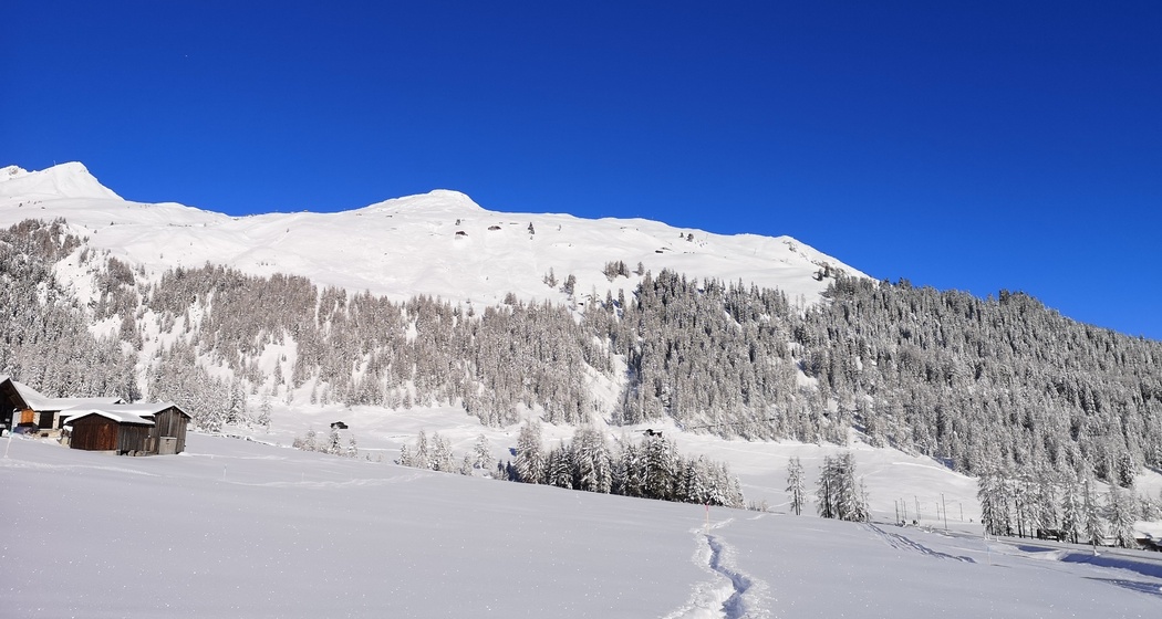 618 Wolfgang-Trail (oua_55299671_image)