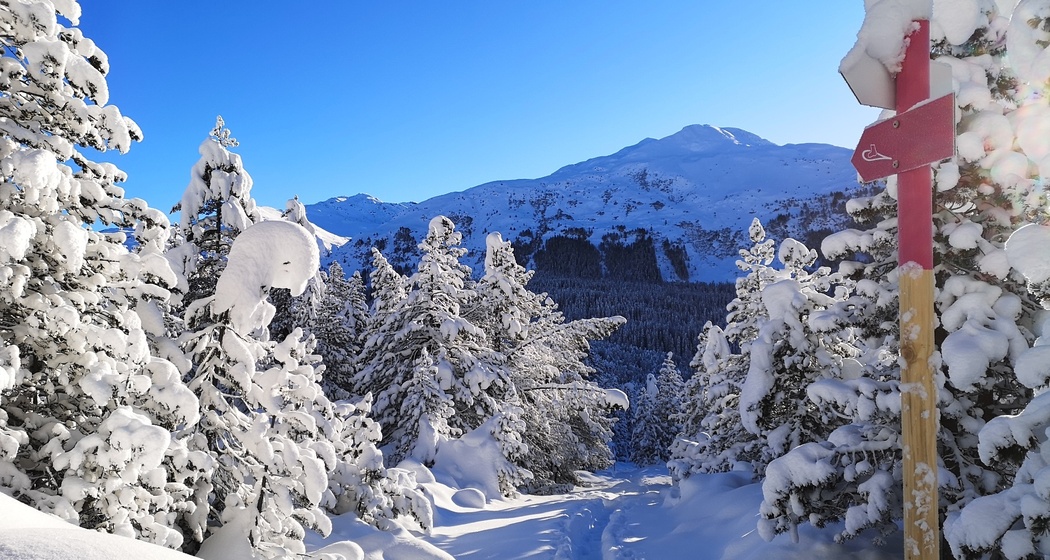 618 Wolfgang-Trail (oua_55299690_image)