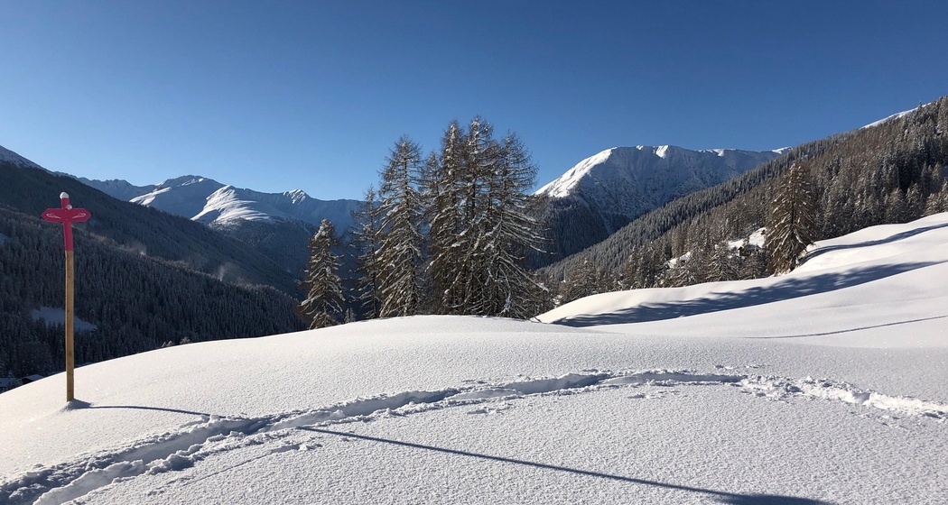 Tinzenblick-Trail (oua_55299733_image)
