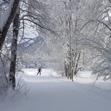 Loipe Filisur - Alvaneu Bad