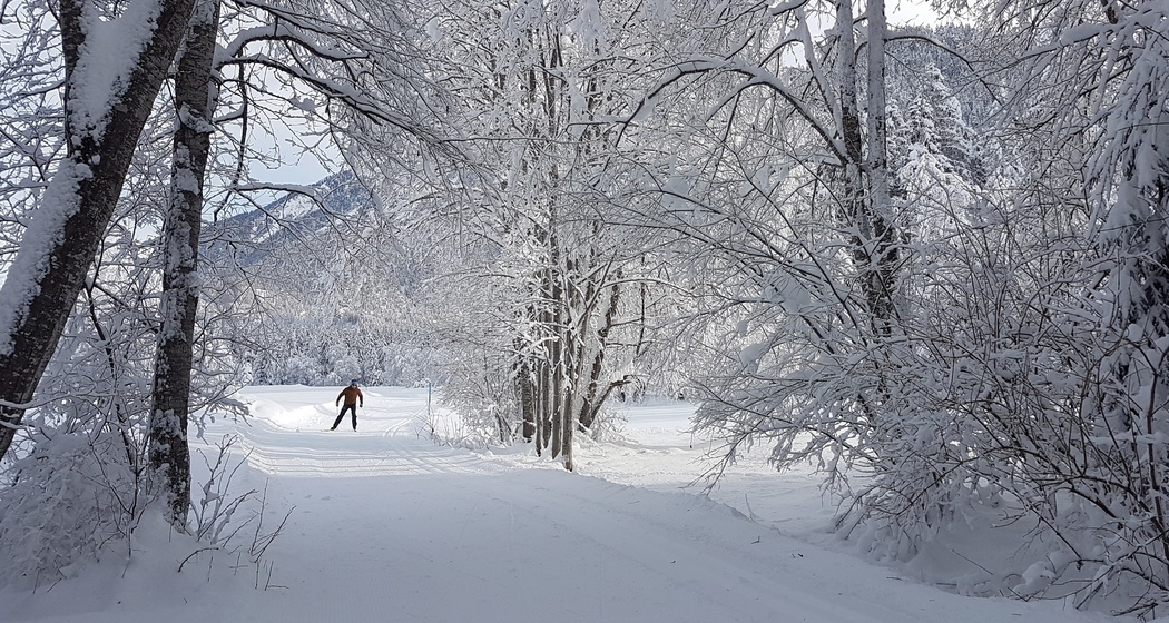 Loipe Filisur - Alvaneu Bad