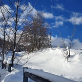 574 Roggi's Trail (oua_55356242_image)