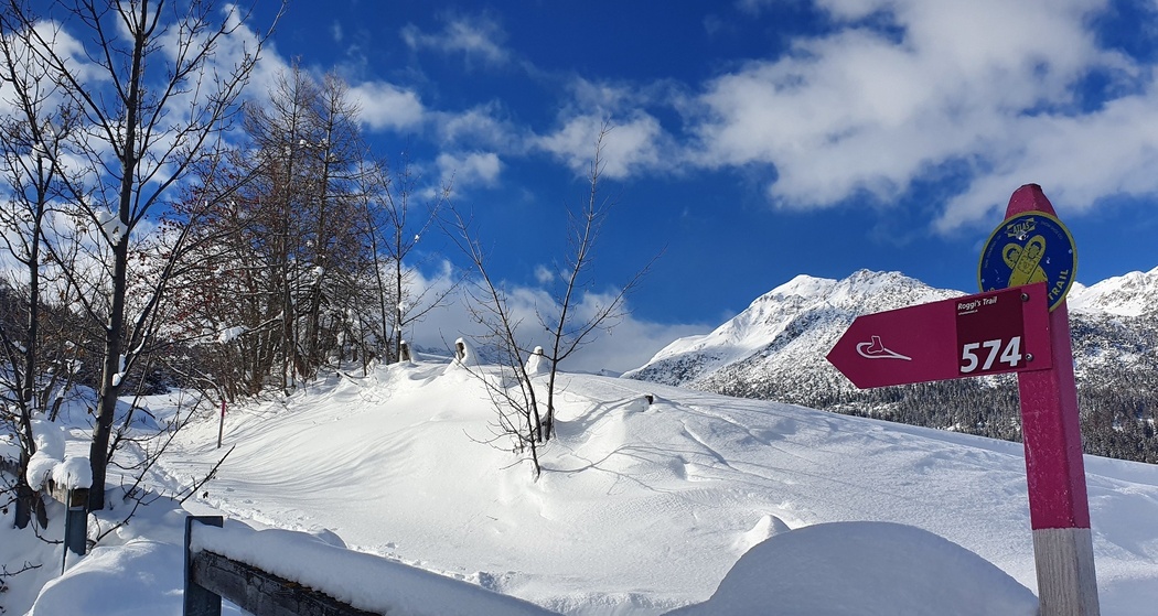 574 Roggi's Trail (oua_55356242_image)