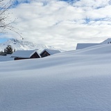 574 Roggi's Trail (oua_55356262_image)