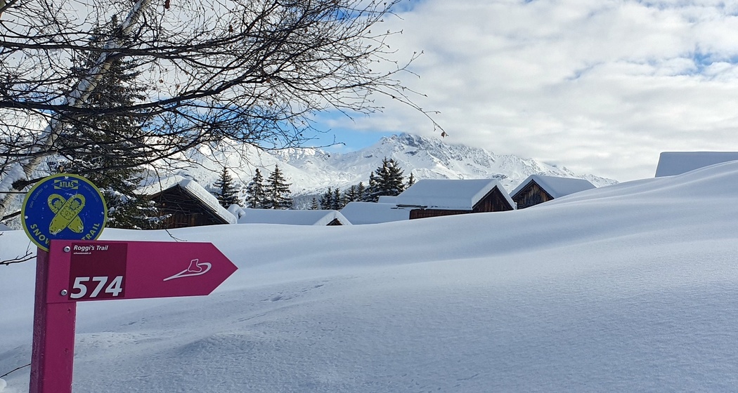 574 Roggi's Trail (oua_55356262_image)