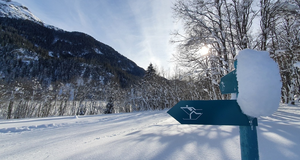 Rona - Mulegns retour (oua_55356743_image)