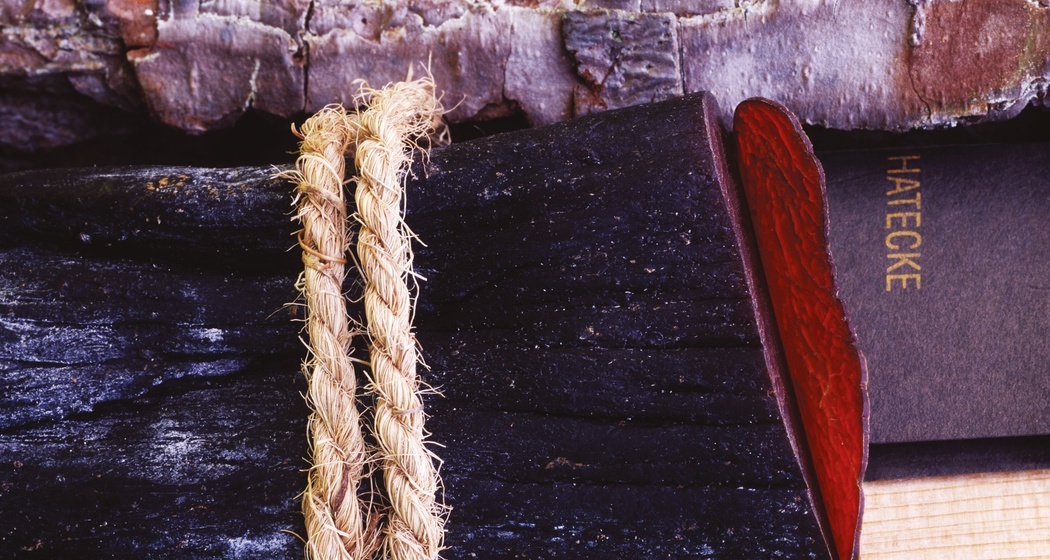 Hirschtrockenfleisch der Metzgerei Hatecke