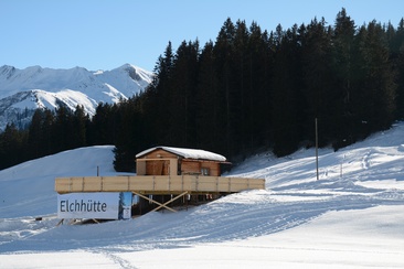 Elchhütte © Julia Isler