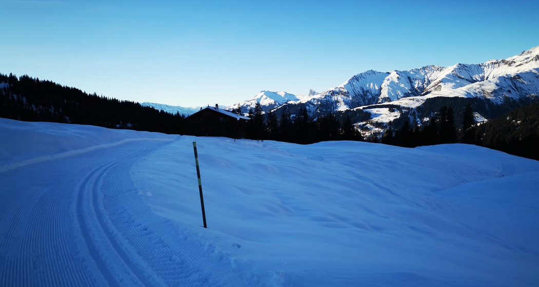 Loipe Aschüel St. Antönien © Ernst Flütsch