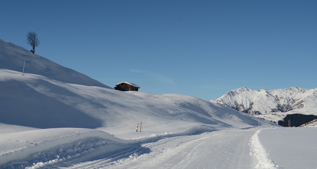 Loipe Aschüel St. Antönien © Julia Isler