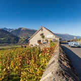 Vieux Torkel Jénines