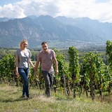 Tranquillement lors de la visite du vignoble