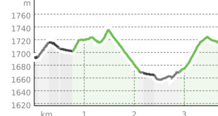 Rundweg Zuoz - S-chanf (oua_55530618_4af7d1e_profile)
