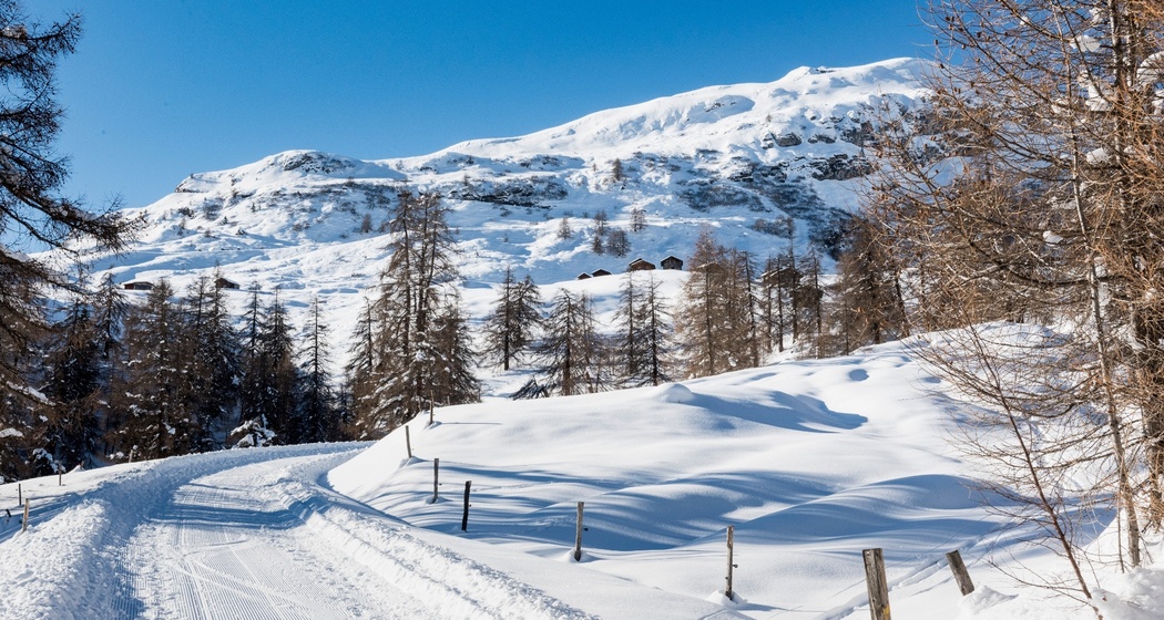 Winterwanderweg/Schlittelweg Wergenstein-Dumagns
