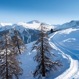 Winter hiking trail/sledding trail Wergenstein-Dumagns