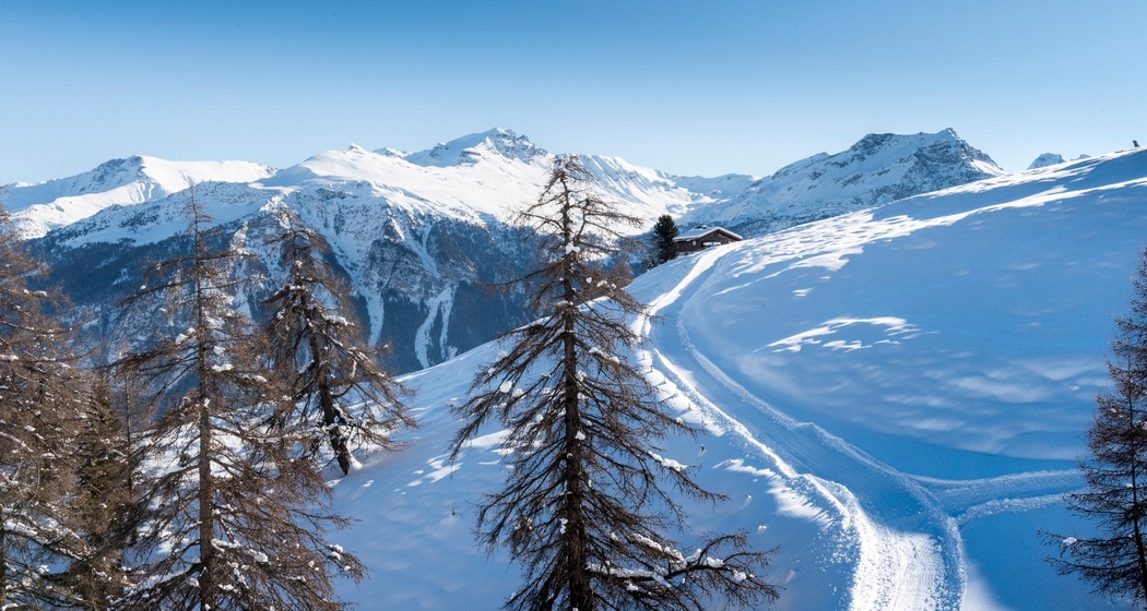 Winterwanderweg/Schlittelweg Wergenstein-Dumagns