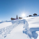 Winter hiking trail/sledding trail Wergenstein-Dumagns
