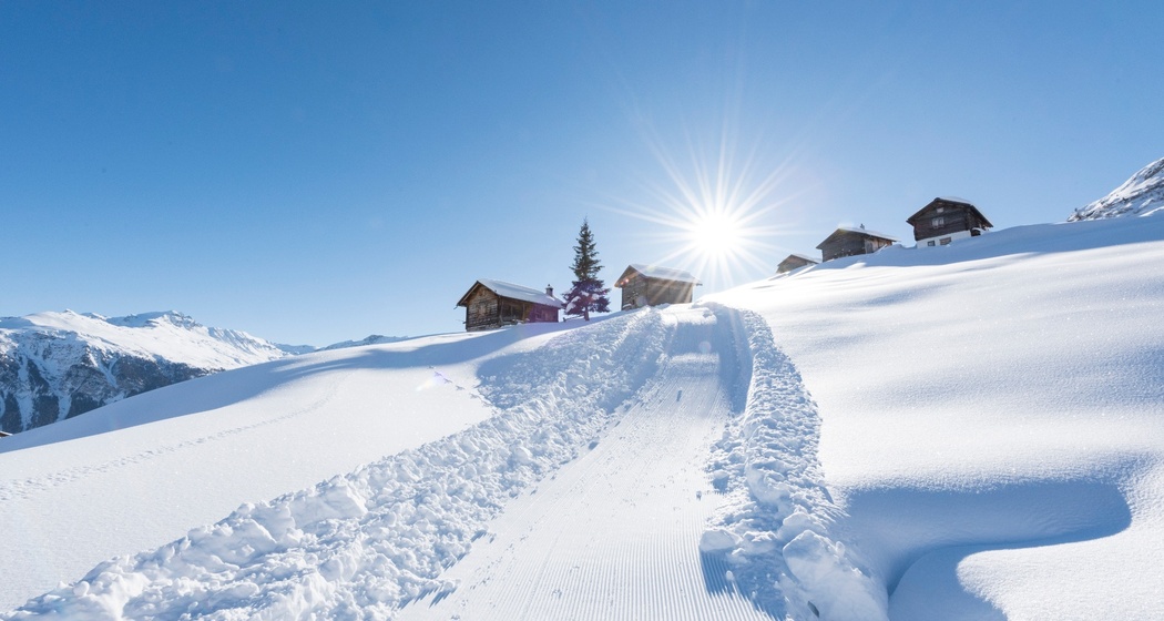 Winterwanderweg/Schlittelweg Wergenstein-Dumagns