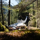 Suspension bridge forest path Innerferrera