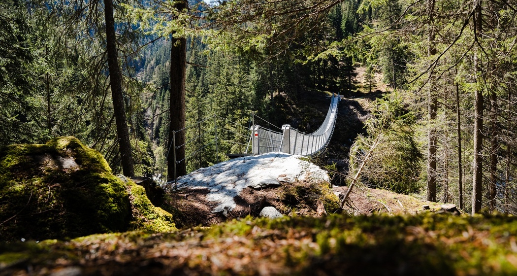 Hängebrücke Waldweg Innerferrera