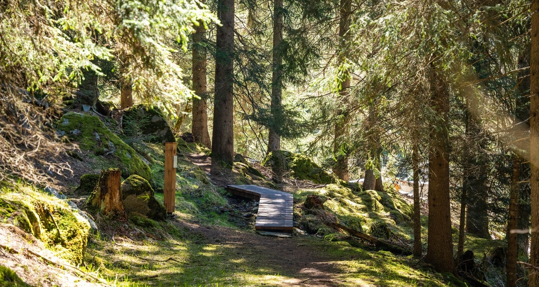 Waldweg Innerferrera