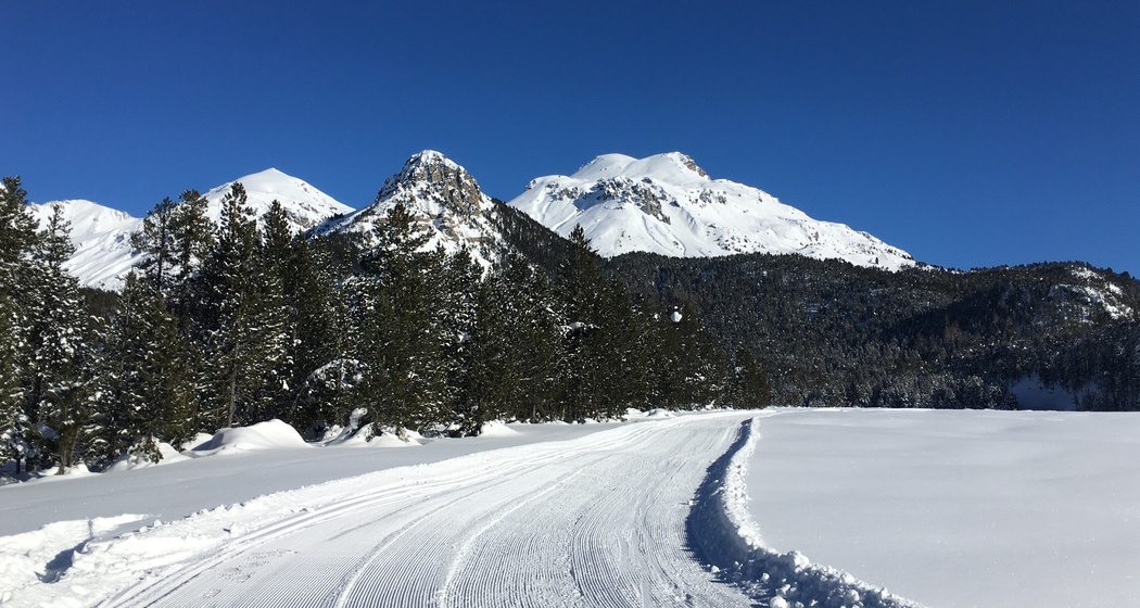 Blick in Richtung Chaschlot (Grenzgebiet Naturpark und Schweizerischer Nationalpark)