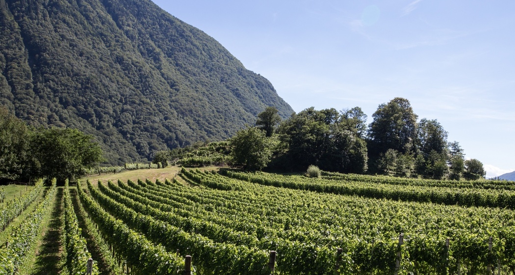 San Vittore - Alp de Martum - Pizzo di Claro (oua_55705234_image)