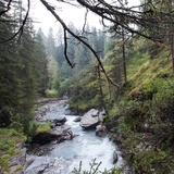 Adventures Flims - Brücken in wilder Natur