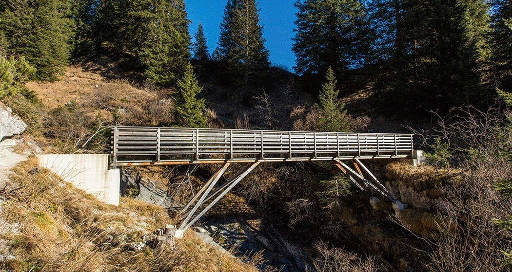 Adventures Flims - Brücken in wilder Natur