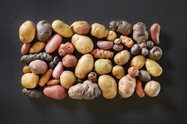 Organic farm Las Sorts