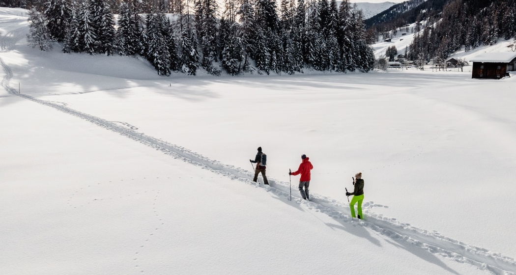 Wildboden-Trail (oua_55809489_image)
